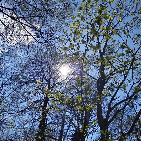 Celorocni Glamping V Pohodlnem Domecku Villa Vyprachtice Bagian luar foto