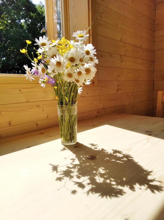 Celorocni Glamping V Pohodlnem Domecku Villa Vyprachtice Bagian luar foto
