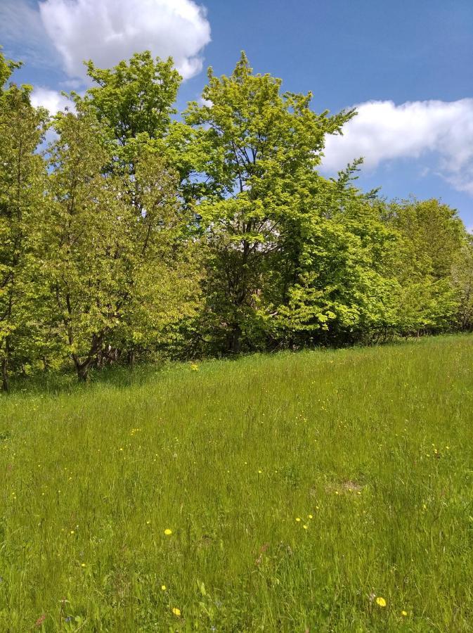 Celorocni Glamping V Pohodlnem Domecku Villa Vyprachtice Bagian luar foto