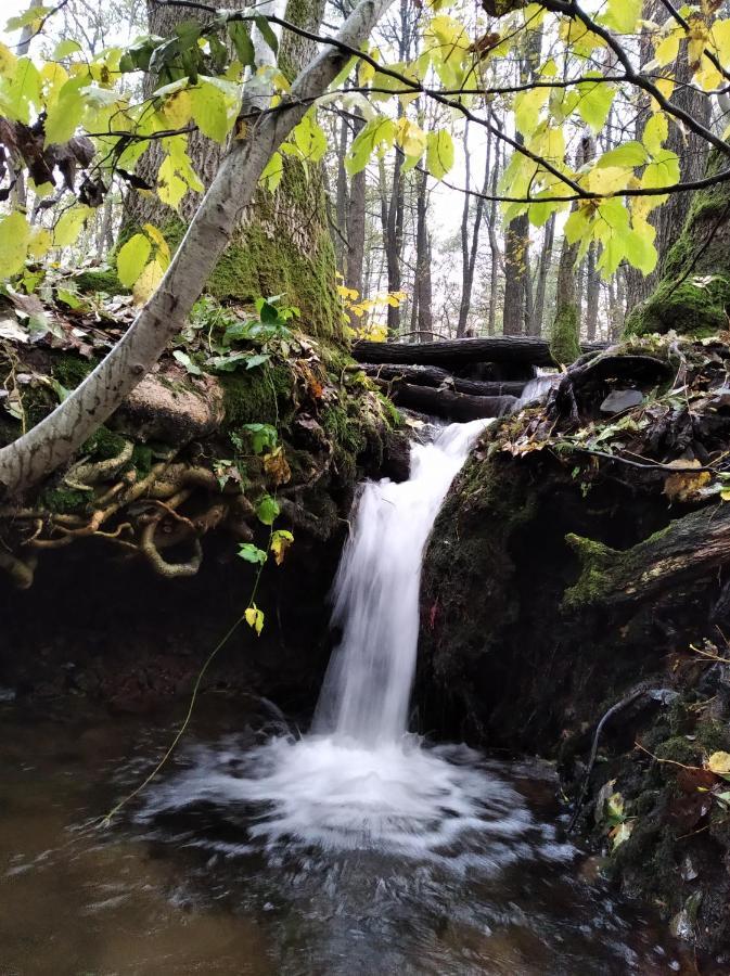 Celorocni Glamping V Pohodlnem Domecku Villa Vyprachtice Bagian luar foto