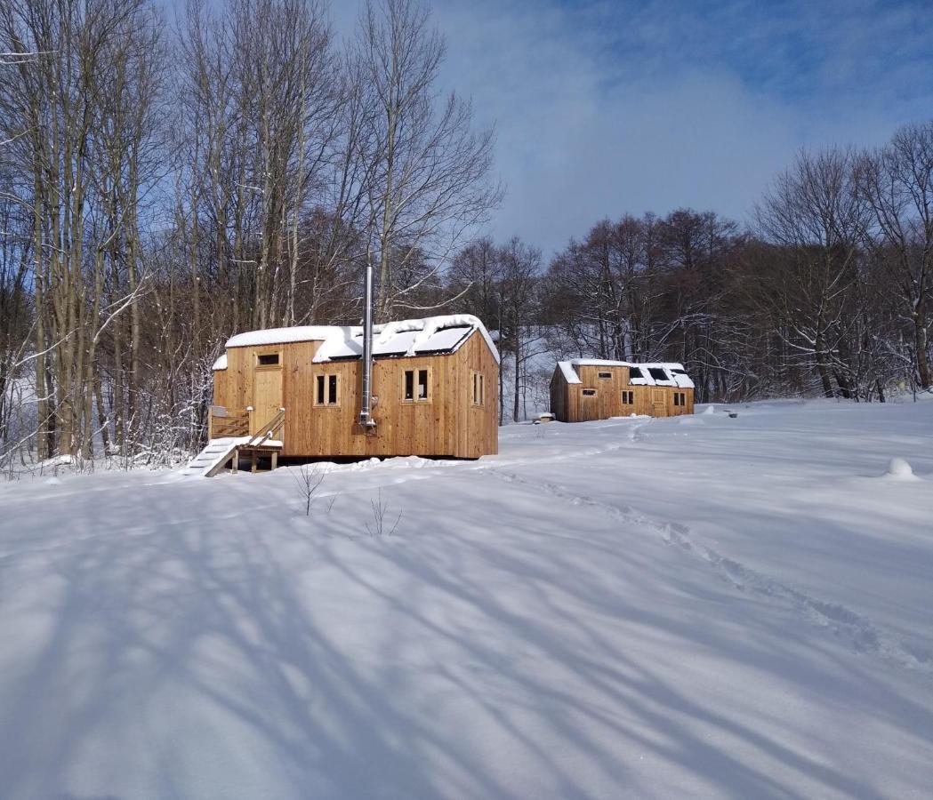 Celorocni Glamping V Pohodlnem Domecku Villa Vyprachtice Bagian luar foto